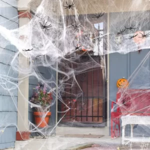 Which Spooky Family Do You Belong In? Quiz Fake spider webs