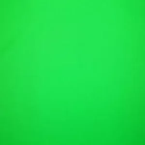 Which Spooky Family Do You Belong In? Quiz Neon green