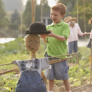 Fall Activities Quiz Build a scarecrow