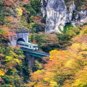 Fall Activities Quiz Go on a scenic train ride