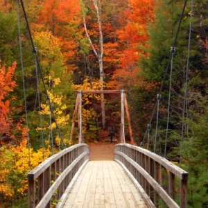Cozy Fall Day Quiz Going for a scenic hike