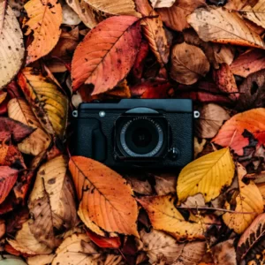 Fall Activities Quiz Take some fall pictures