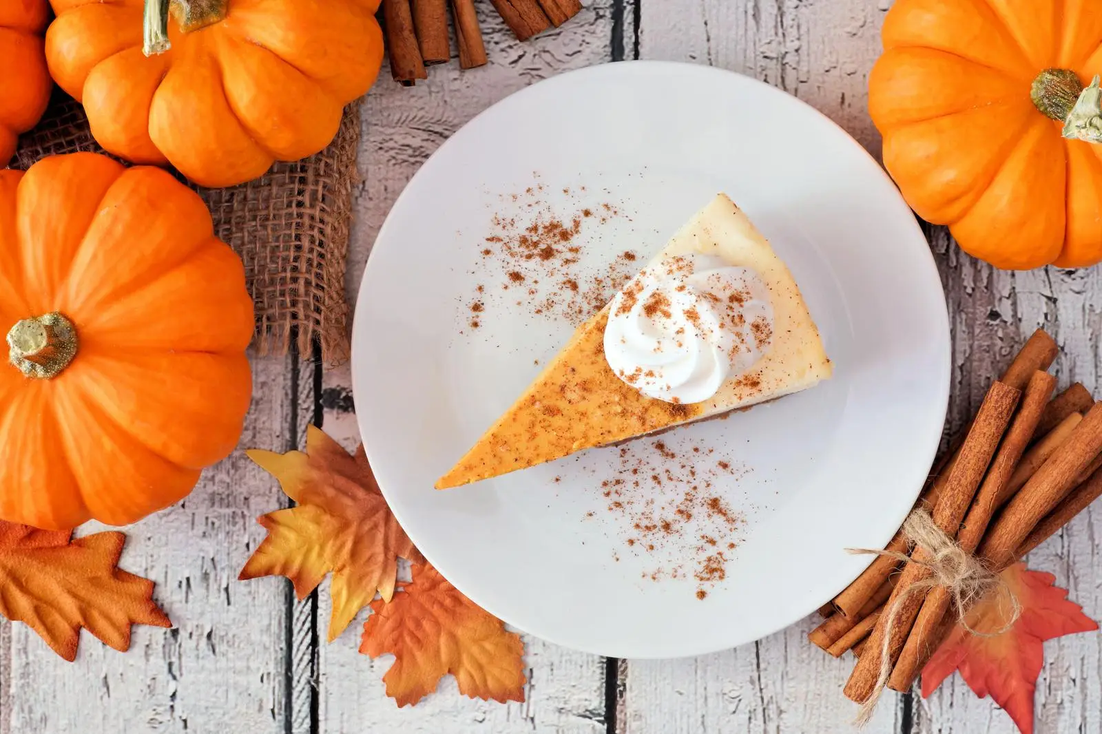 Pumpkin cheesecake