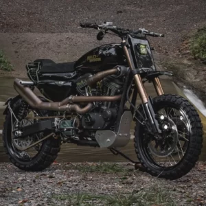 Which Vampire Are You? Quiz Modified motorcycle