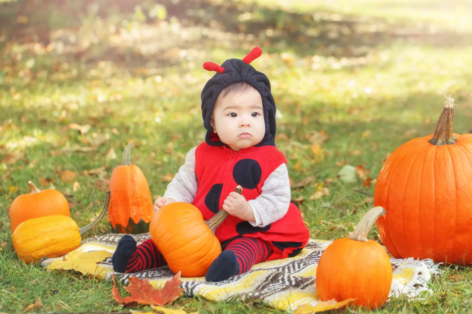 You got: One Kid! Go Trick-or-Treating 🎃 and We’ll Tell You How Many Kids Are in Your Future