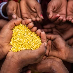 November Trivia Quiz Global hunger