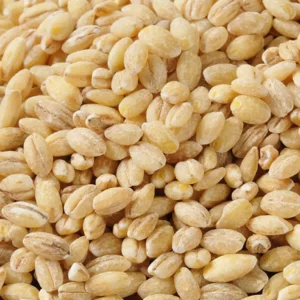 World Food Day Quiz Barley