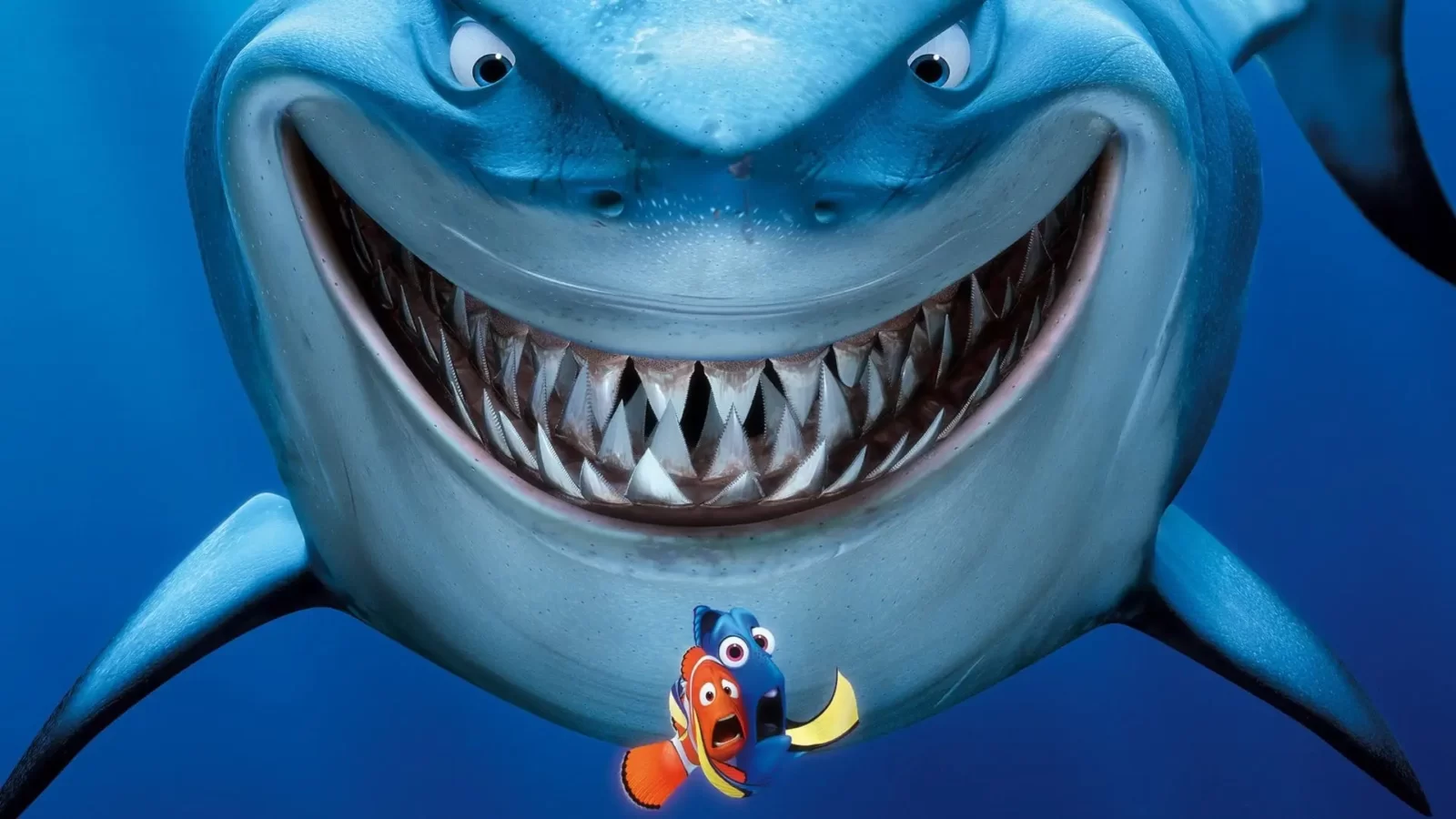 What Type Of Shark Are You? Quiz Finding Nemo shark