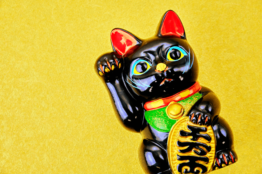 Black Cat Quiz Maneki neko