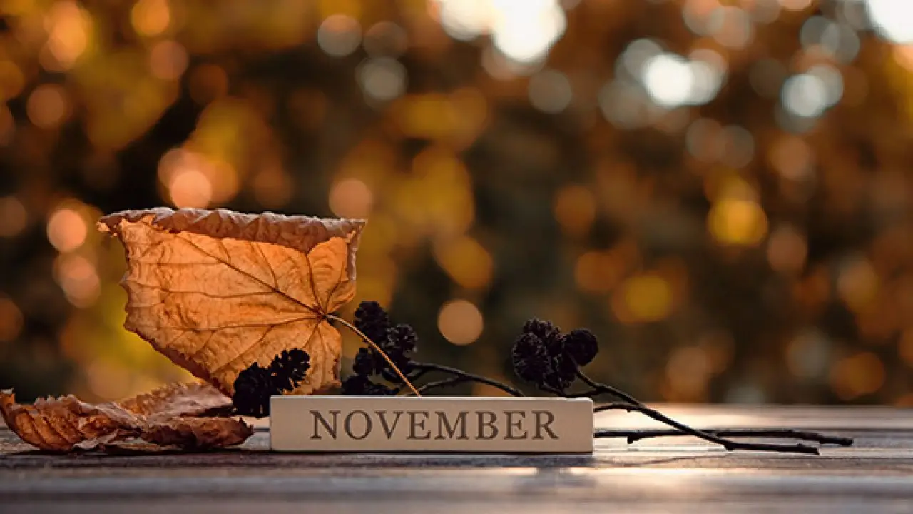 November