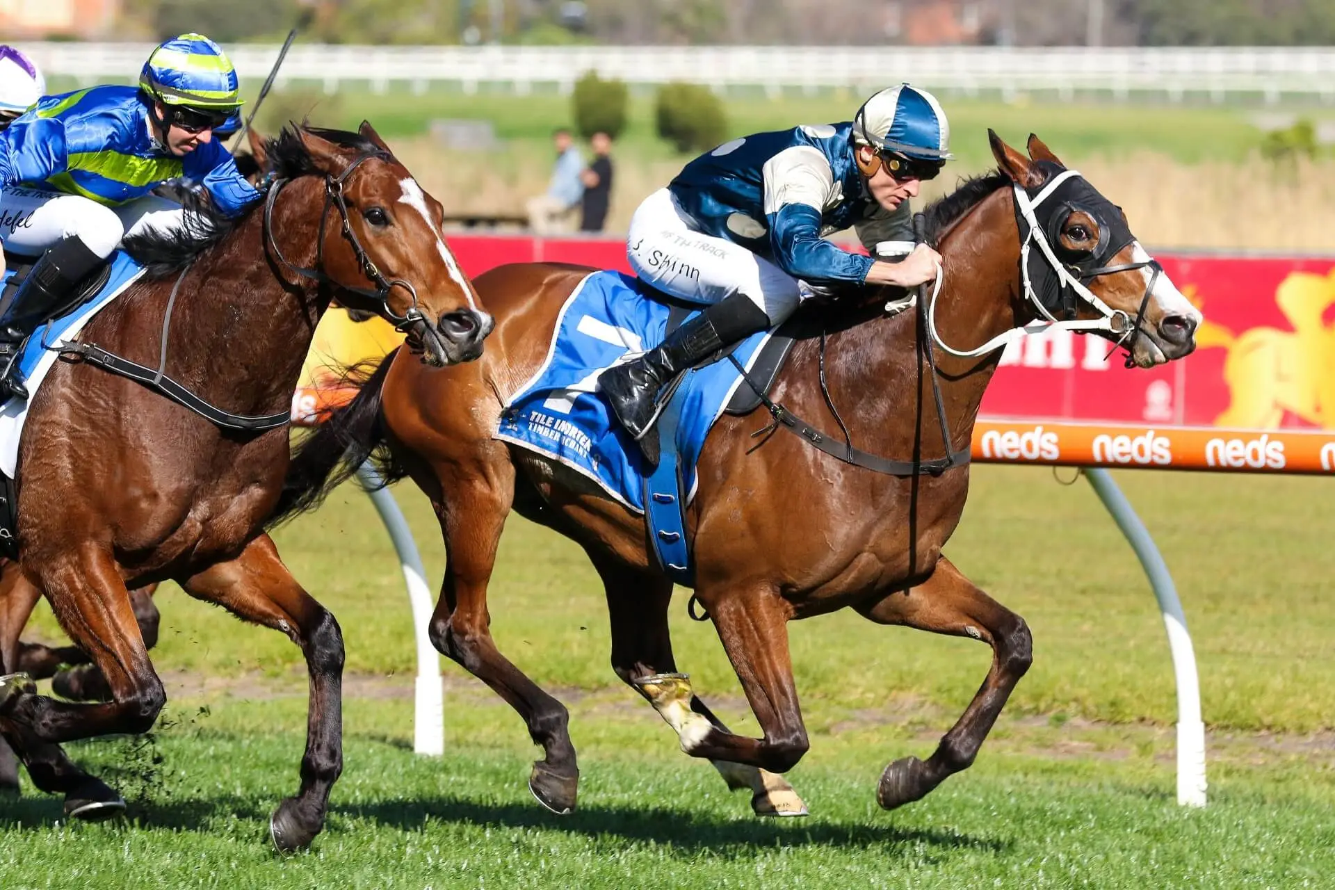 November Trivia Quiz Melbourne Cup horse race