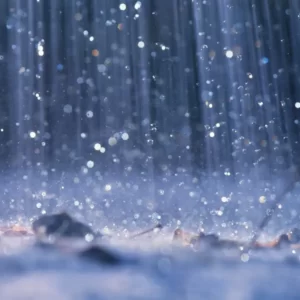 What Kind Of Potato Are You? Quiz Rainy