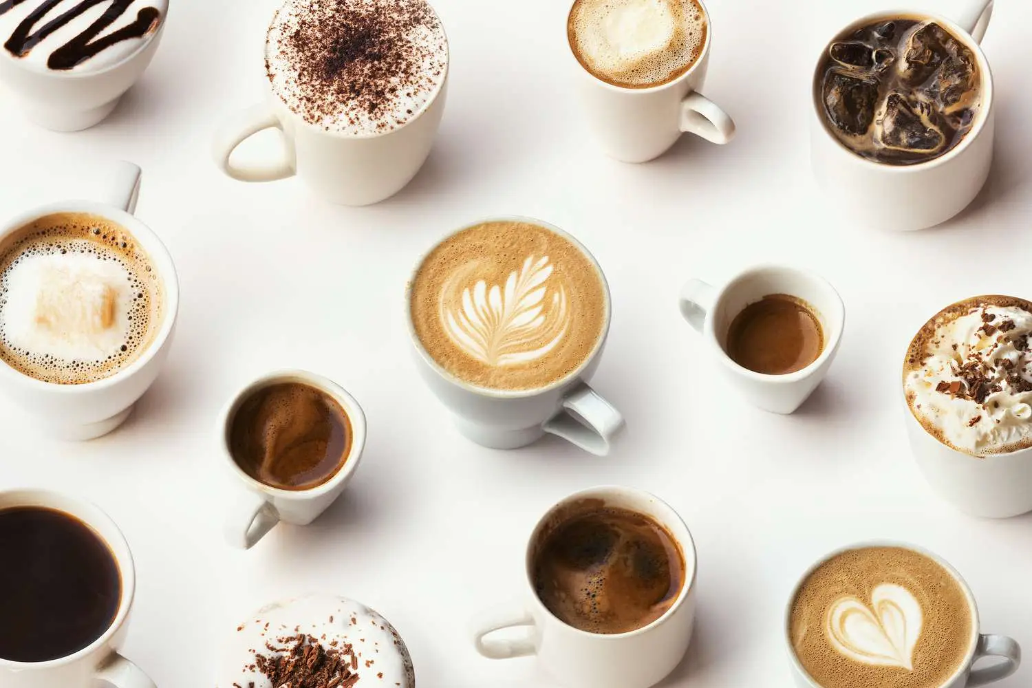 What Autumn Flower Are You? Quiz Coffee