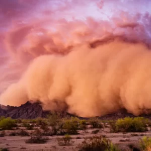 Autumn Jeopardy Quiz Dust storm