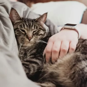 Love Is Respect Quiz Safe and understood