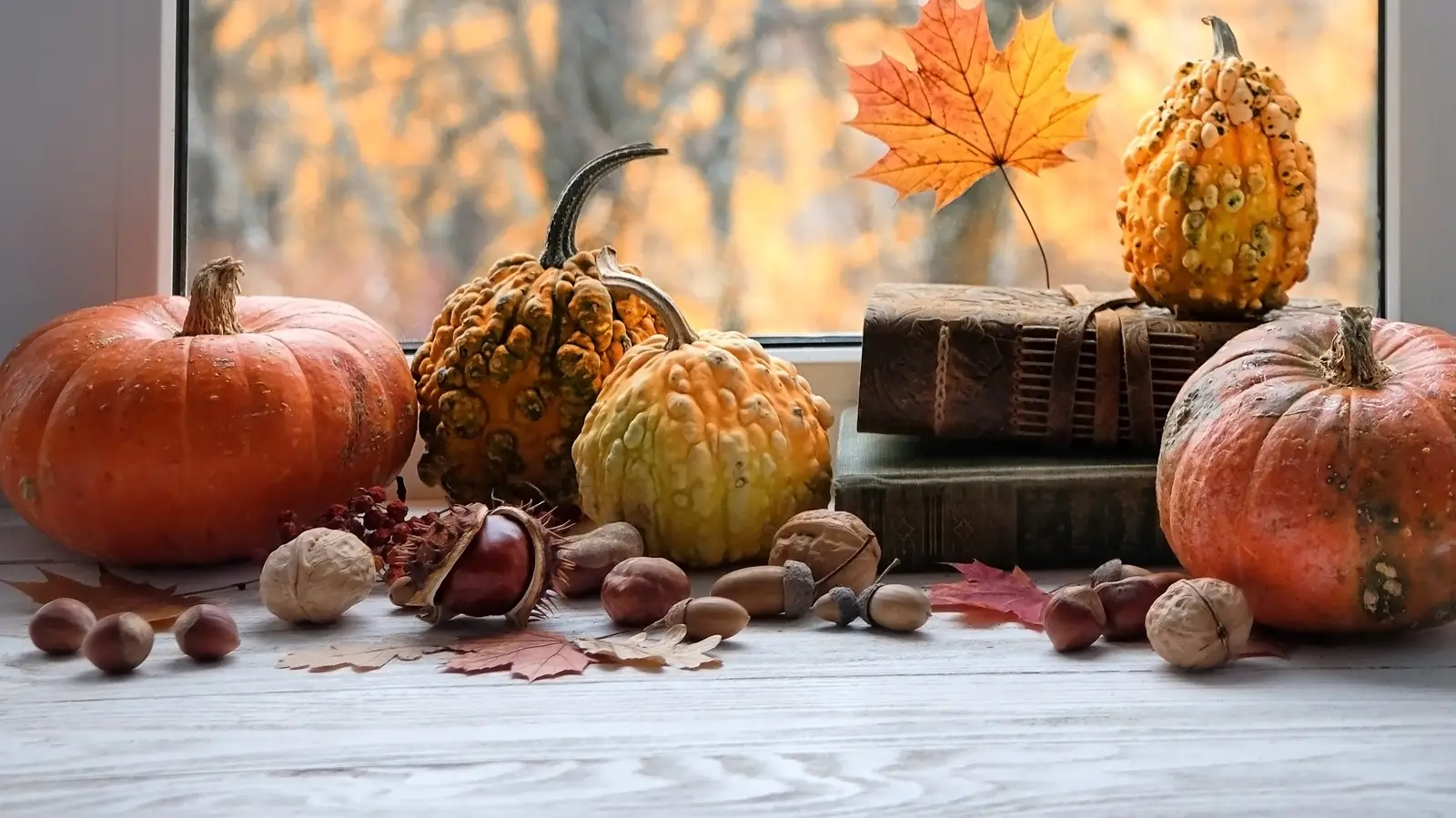 Can I Guess You're Thankful For This Thanksgiving? Quiz Autumn morning