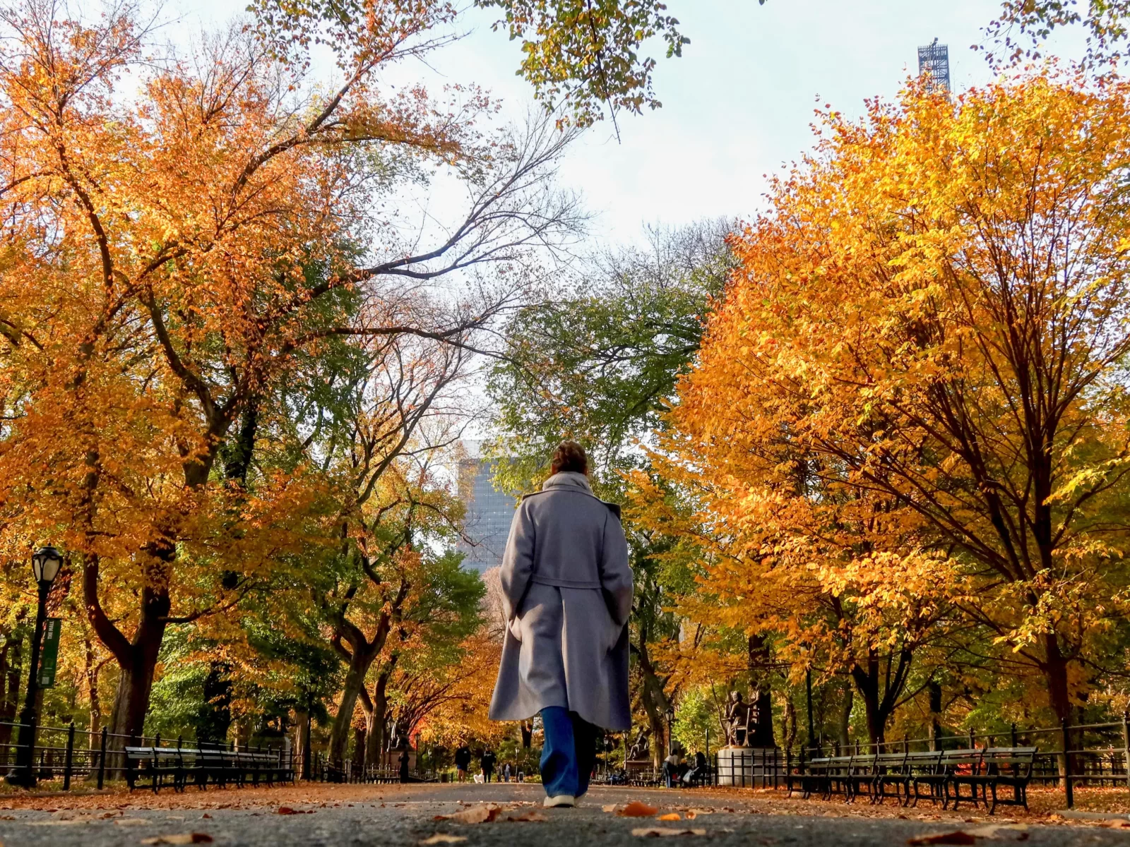 What Kind Of Potato Are You? Quiz Walking in Central Park in New York City in autumn