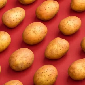 Santa Claus Quiz Potato
