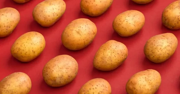 What Kind Of Potato Are You? Quiz