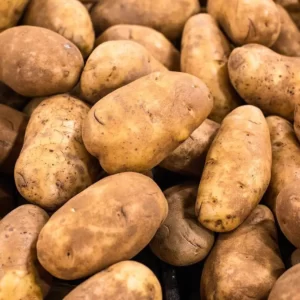 What Kind Of Potato Are You? Quiz Russet