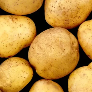 What Kind Of Potato Are You? Quiz Yukon gold