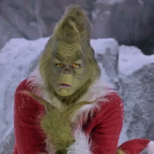 Which Winter Beverage Are You? Quiz How the Grinch Stole Christmas