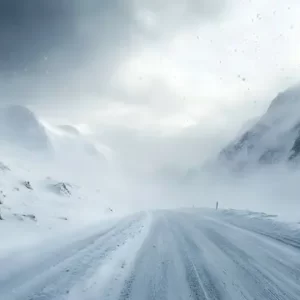 Which Winter Beverage Are You? Quiz Wind howling