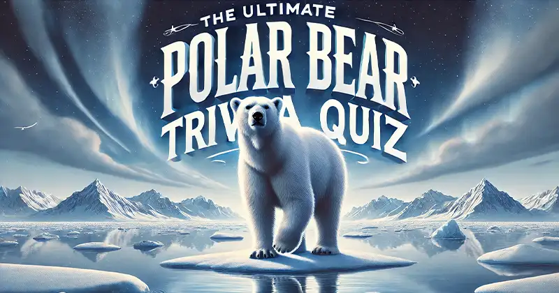 Polar Bear Trivia Quiz