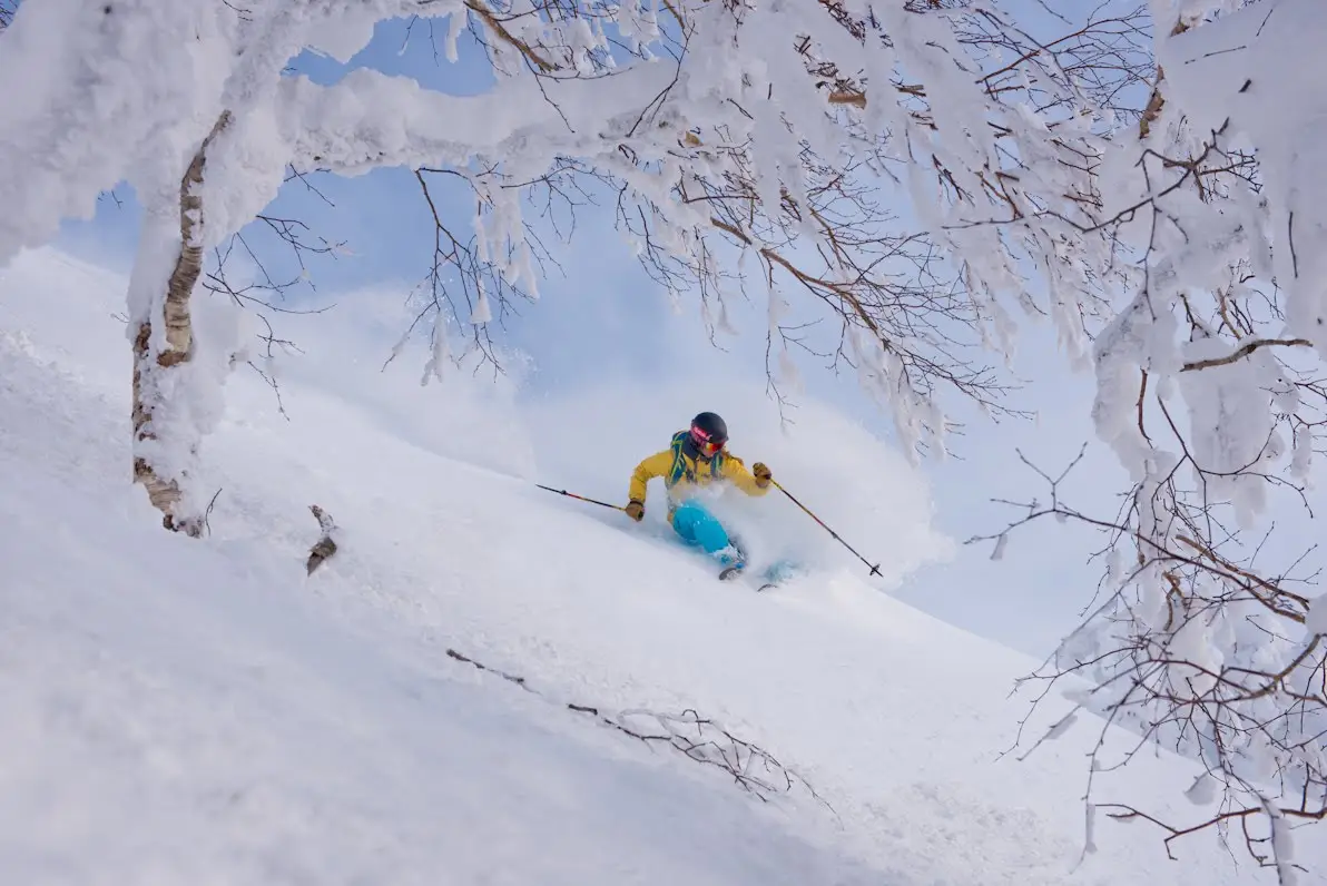 Winter Facts Quiz Skiing in Hokkaido, Japan