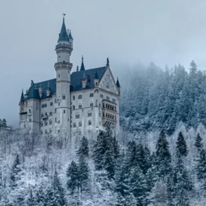 Are You A Dragon, A Phoenix, A Unicorn, Or A Griffin? Quiz Castle