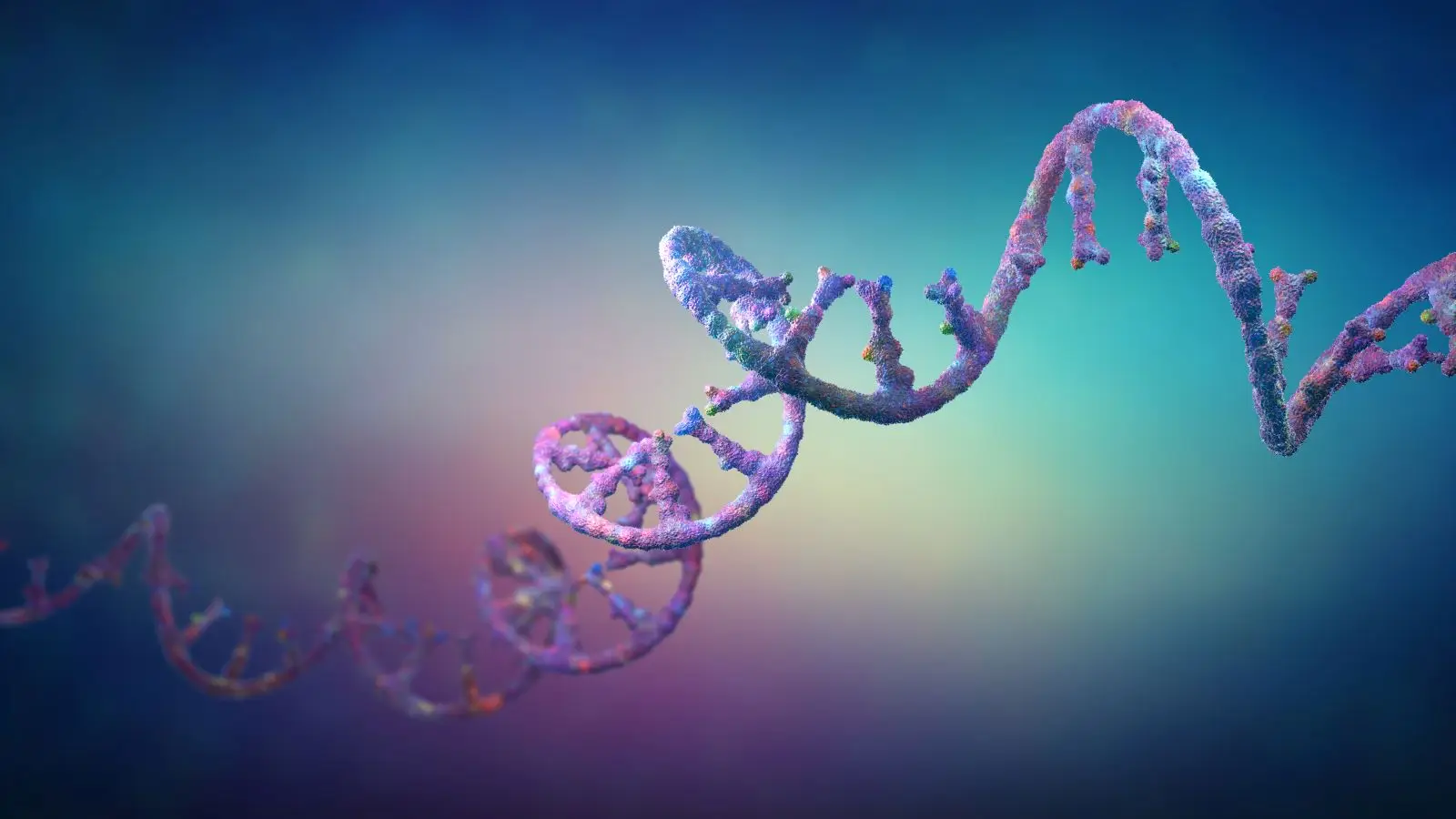 X Trivia Quiz DNA
