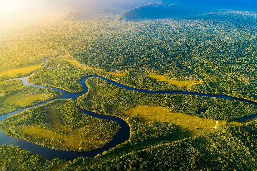 Equator Quiz Amazon Rainforest