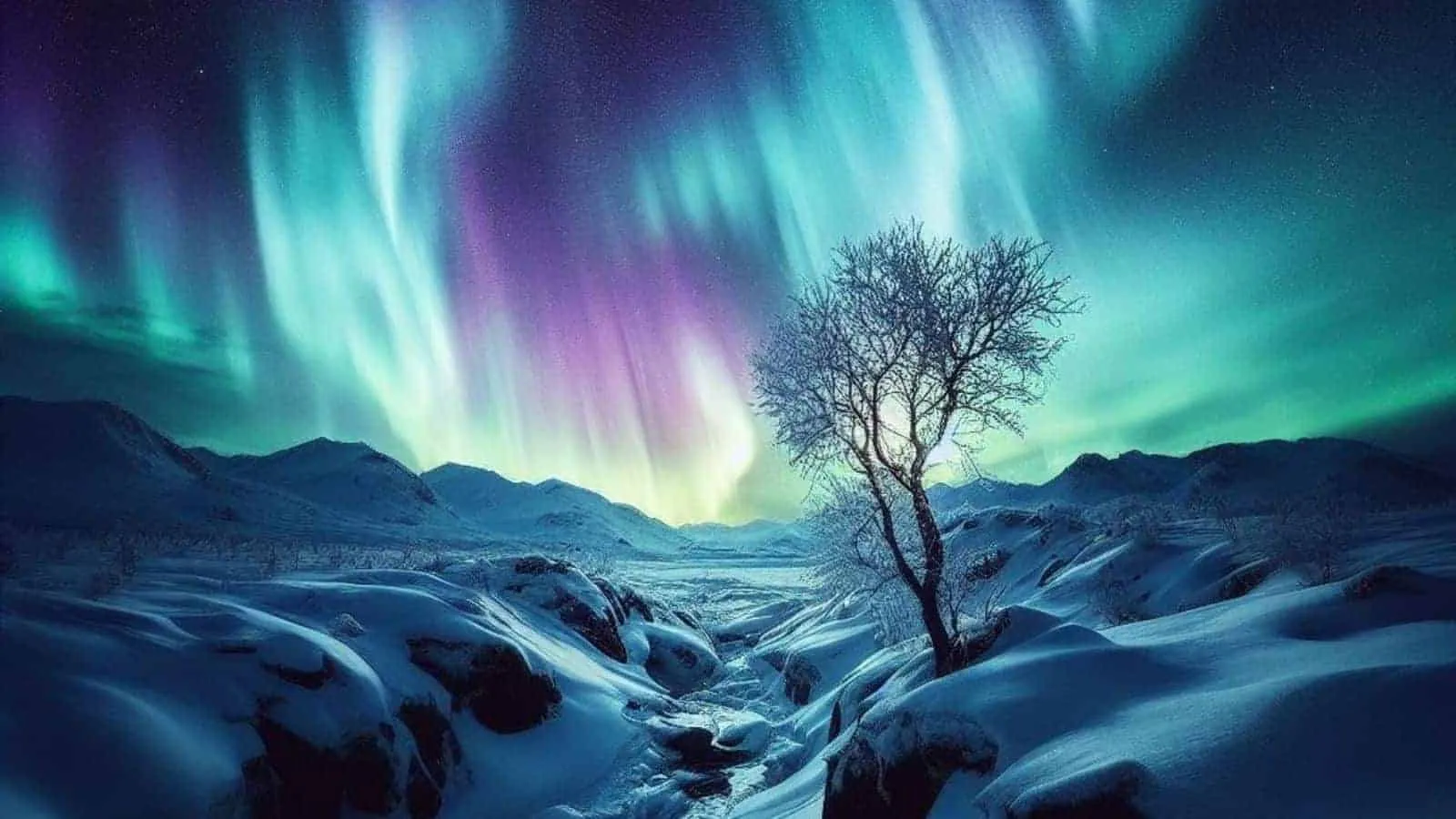 Northern Lights Quiz Northern lights in winter