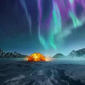 Are You A Desert, Forest, Mountain, Or Ocean? Quiz Sleep under the Northern Lights