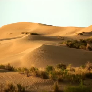 K In Geography Quiz Karakum Desert