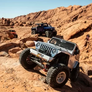 What Type Of Shark Are You? Quiz Jeep