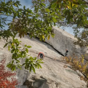 Are You A Desert, Forest, Mountain, Or Ocean? Quiz Rock climbing