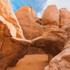 Are You A Desert, Forest, Mountain, Or Ocean? Quiz Sandstone