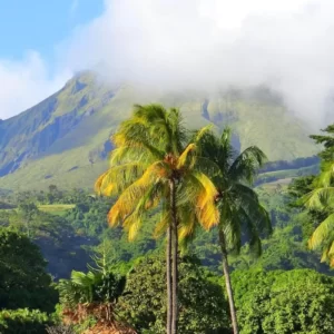 Volcano Trivia Quiz Mount Pelée