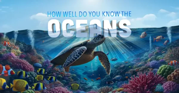 Oceans Quiz