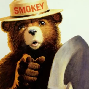 Fictional Bears Quiz Smokey Bear