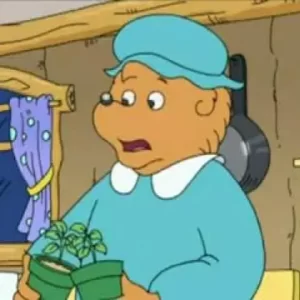 Fictional Bears Quiz Mama Bear from The Berenstain Bears