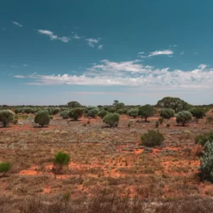 N In Geography Quiz Nullarbor Plain