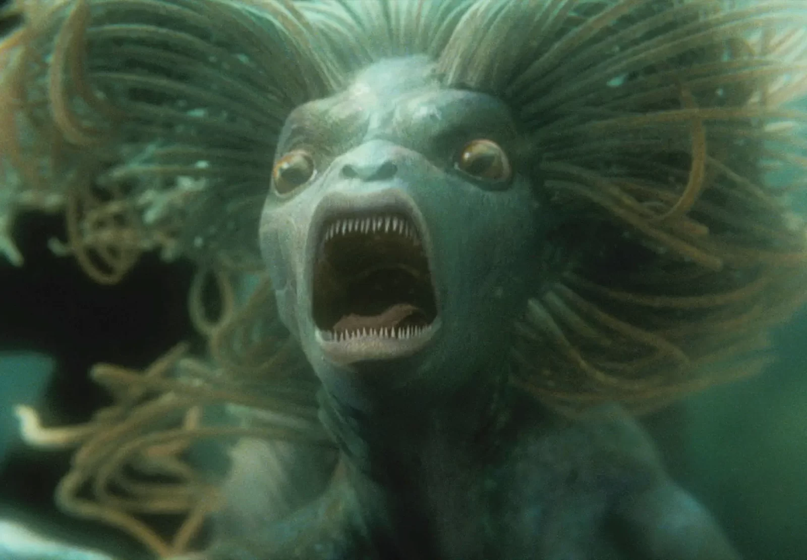 Harry Potter Magical Creatures Quiz Harry Potter Merperson merpeople
