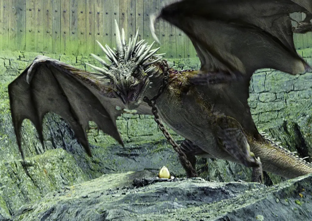 Harry Potter Magical Creatures Quiz Harry Potter Hungarian Horntail dragon