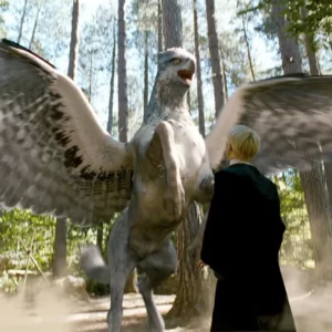 Guess The Movie Titles Quiz Hippogriff
