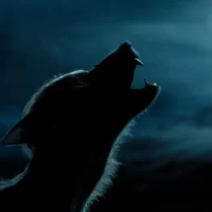 Harry Potter Magical Creatures Quiz Werewolves