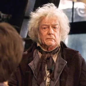 Harry Potter Quotes Quiz Garrick Ollivander
