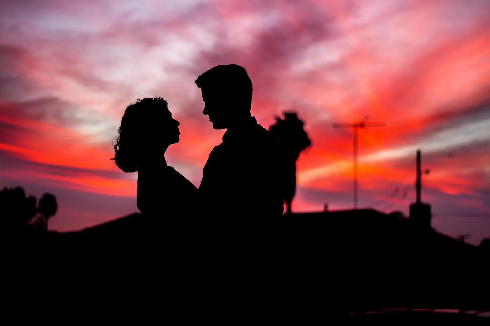 Pasta Love Analysis Quiz Couple silhouette