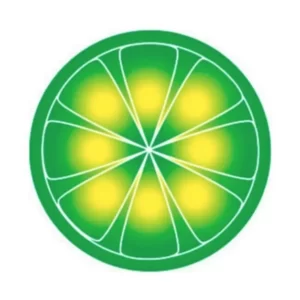 90s Internet Quiz LimeWire